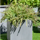 Nouvelle collection Polystone!