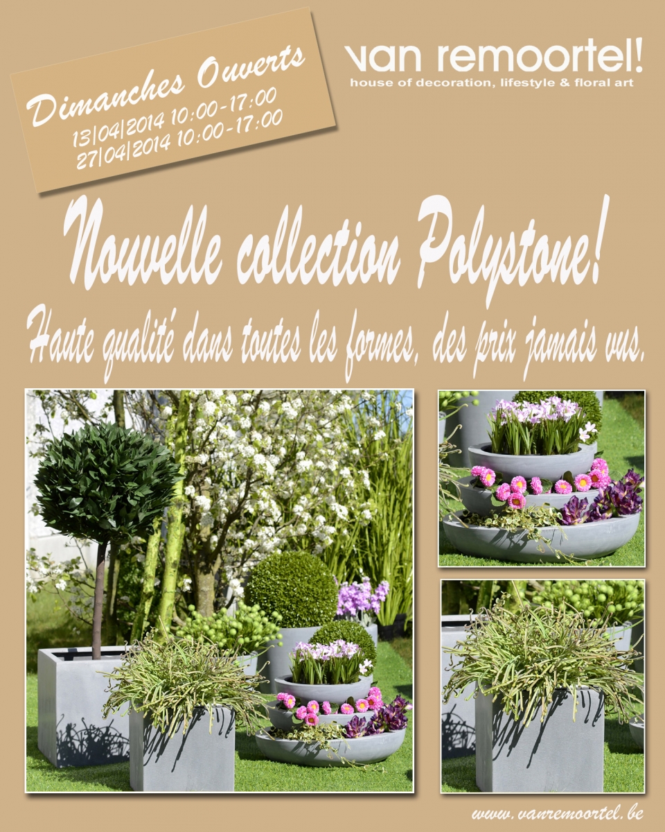 flyer poly