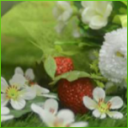 Frühling von seiner besten Seite!