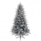 Vermont spruce