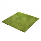 Grass carpet