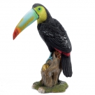 Toucan