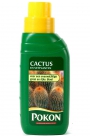 Cactus food