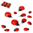 Ladybug wood