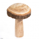 Mushroom wood