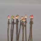 Mushrooms on stick