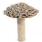 Mushroom on stand