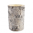 Vase birch round