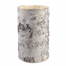 Vase birch round