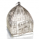 Birdcage wire