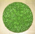 Buxus ball