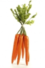 Carrot bundle x6