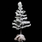 Fir tree in jute bag