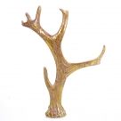 Horn poly
