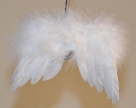 Wings feather clip