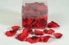 Rose petals