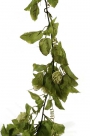 Hop garland