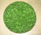 Buxus ball