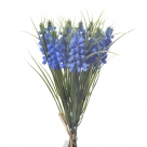Muscari bundle