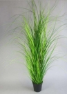 Grass in pot