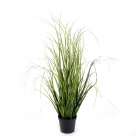 Grass bundle i.pot