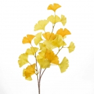 Golden ginkgo twig