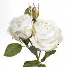 Rose branch x2