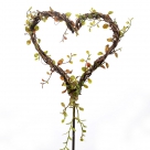 Vine heart