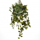 Ivy hanger x144