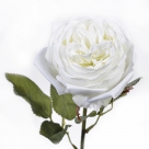 Rose spray