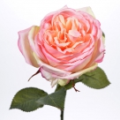 Rose spray