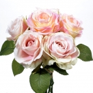 Rose x6 - stem x2