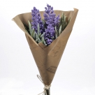 Lavender bundle