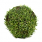 Grass ball