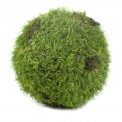 Grass ball