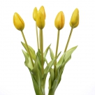 Tulip bundle x7