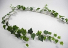 Ivy garland