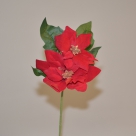 Poinsettia branch