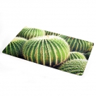 Foot mat cactus