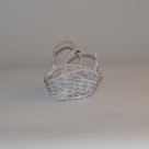 Basket willow