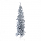X-mas tree fir