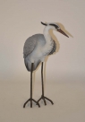 Heron standing