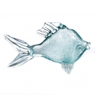 Glass fish