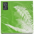 Napkin fern