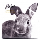 Napkin karl rabbit