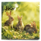 Napkin rabbit
