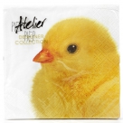 Napkin charly chick