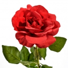 Rose thorne