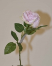 Rose pick rodin