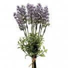 Lavender x9